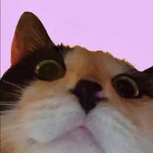 Meet your Posher, Maysie